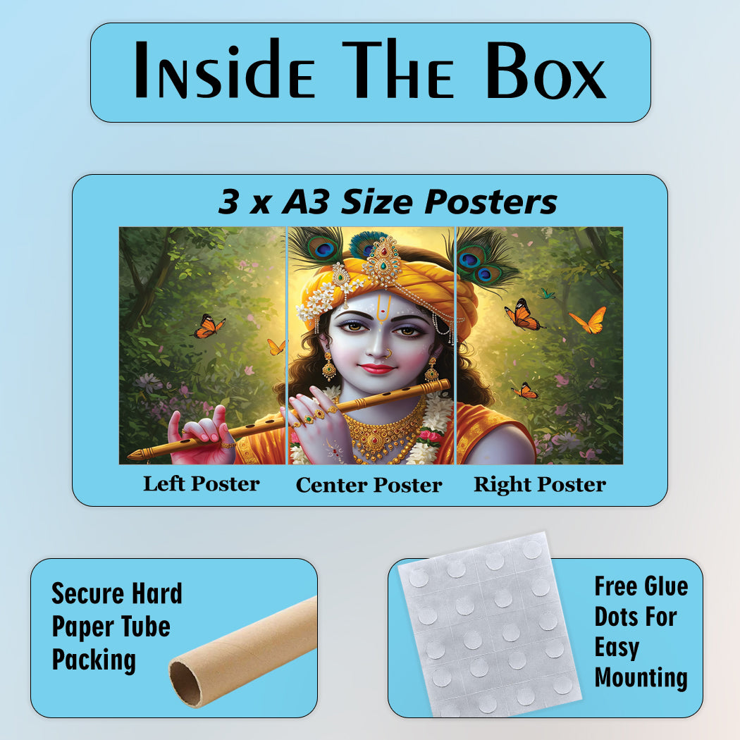 Lord Krishna | Devotional Art #02 | 3 Piece Set